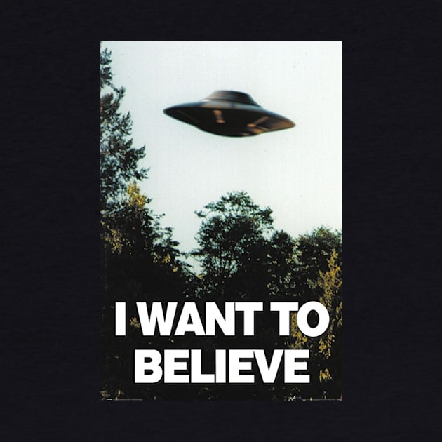 I Want To Believe by discpeplum